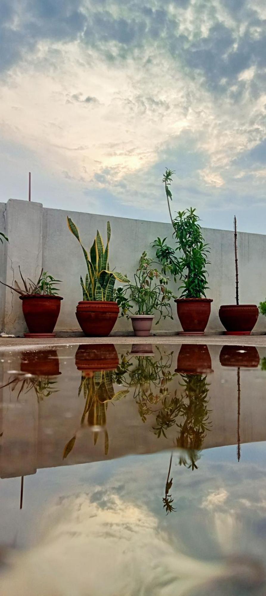 Cocoon Auberge Divisione di Divisione di Jaipur Esterno foto
