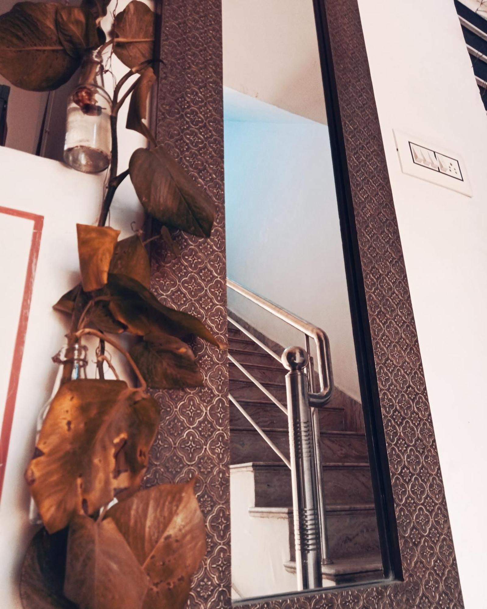 Cocoon Auberge Divisione di Divisione di Jaipur Esterno foto